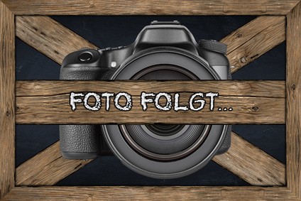 Gio Milano, T-Shirt mit Schriftzug und Strassbesatz